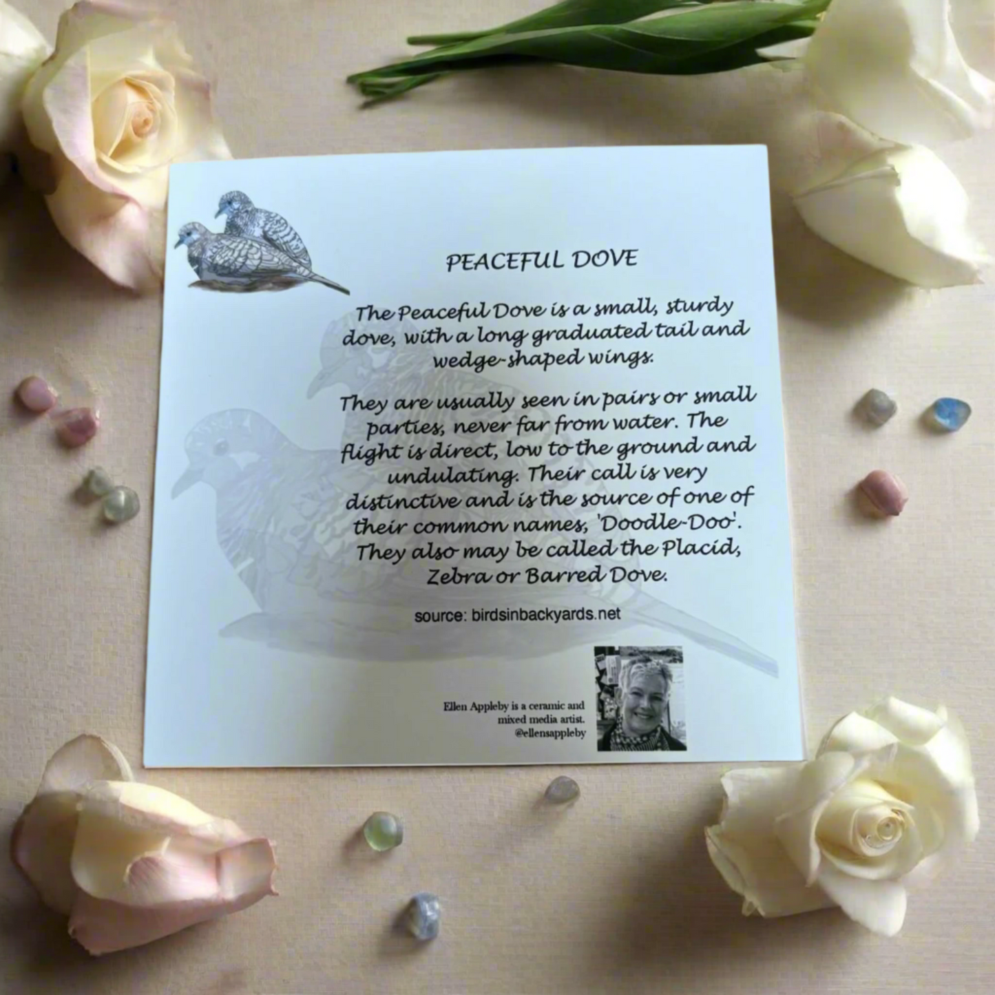 Bird Mandala Greeting Card – Peaceful Dove Design | Mindful Art Card by Ellen Appleby