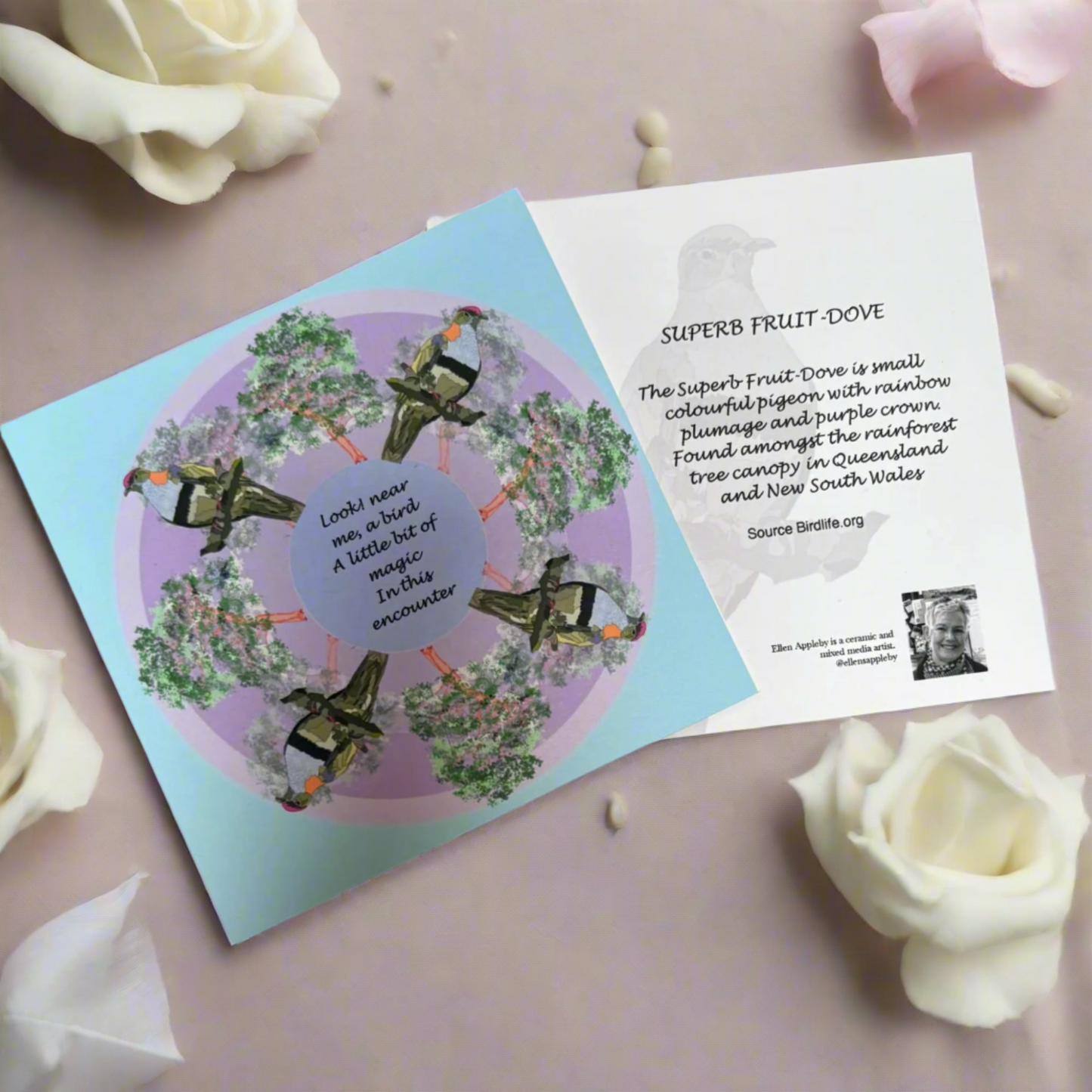 Bird Mandala Greeting Card – Superb Fruit Dove Design | Mindful Art Card by Ellen Appleby