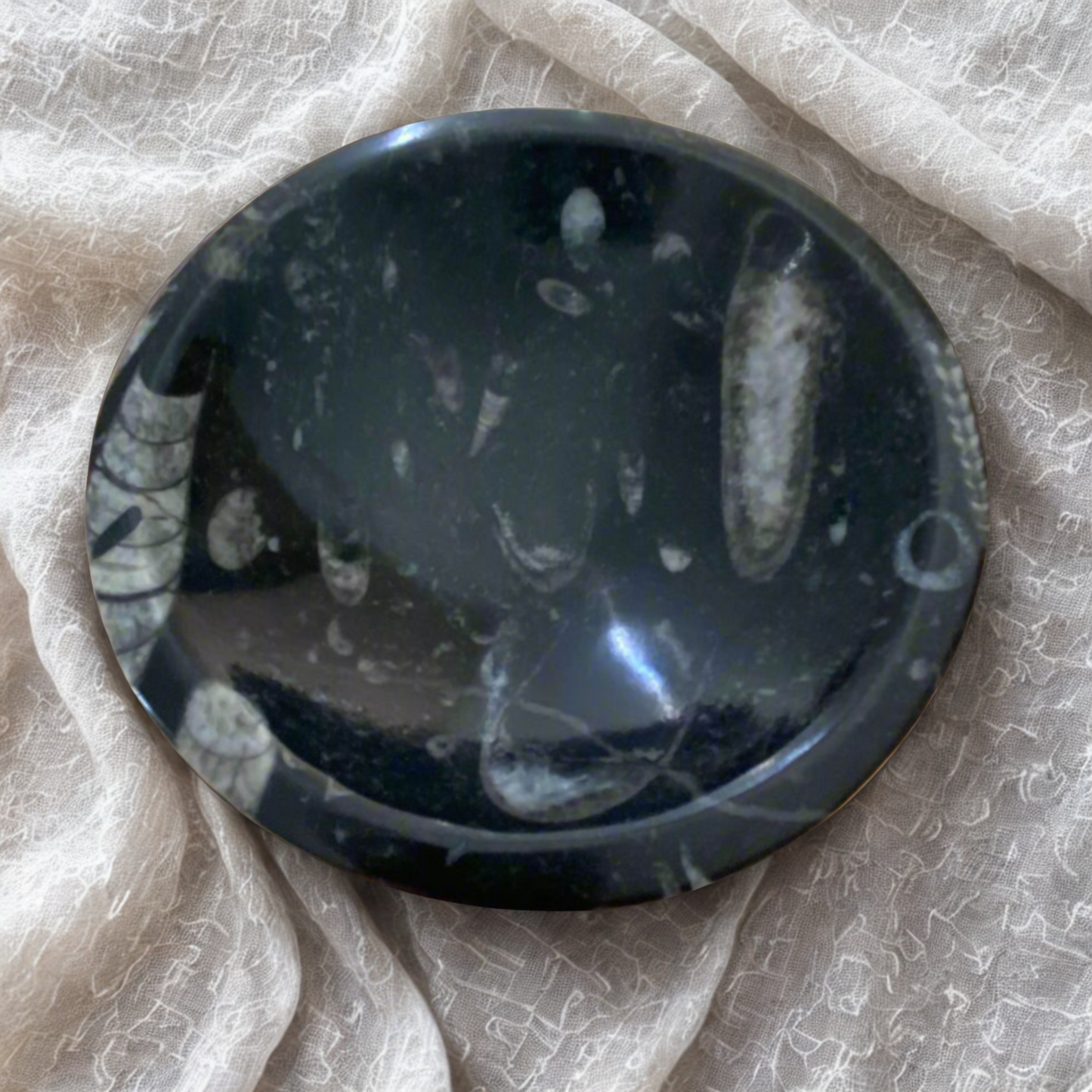 Black Orthoceras Fossil Bowl on a textured beige fabric background