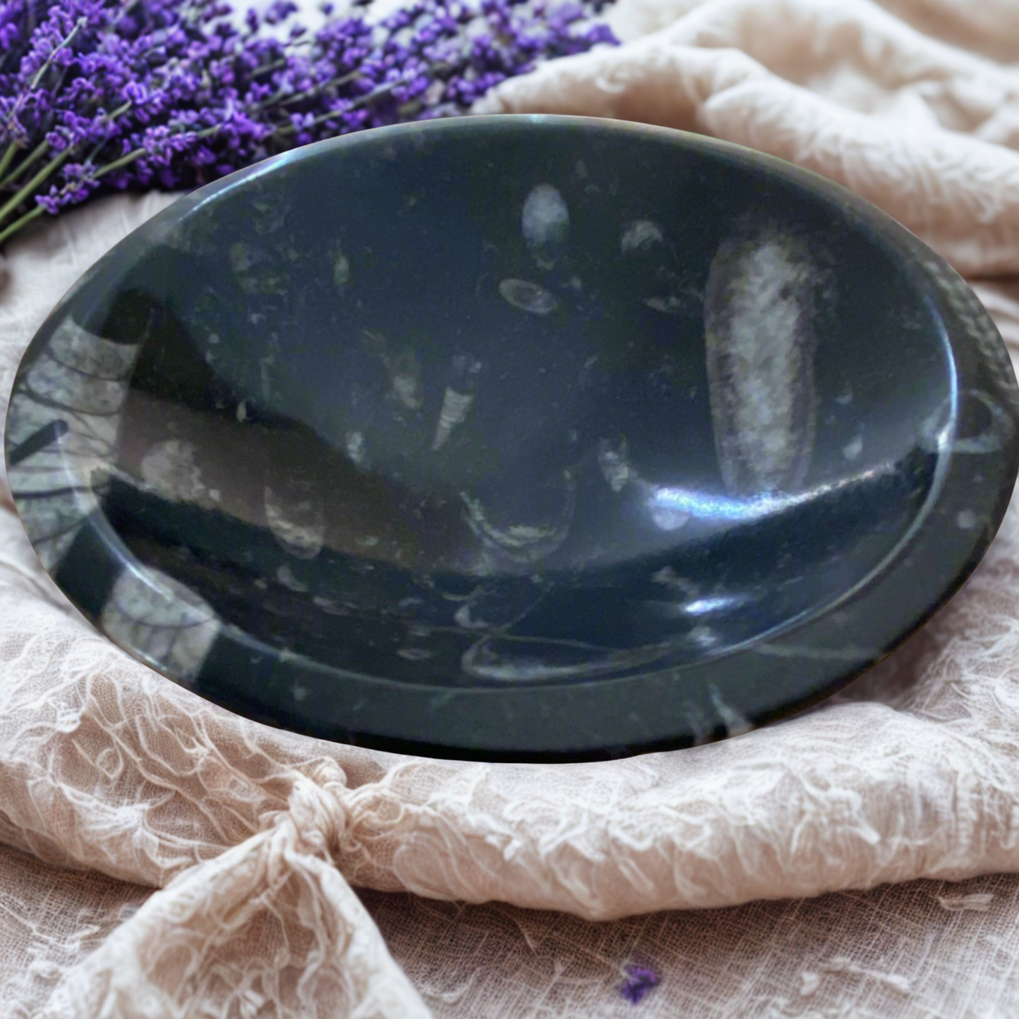Black Orthoceras Fossil Bowl on a textured fabric surface with lavender flowers in the background