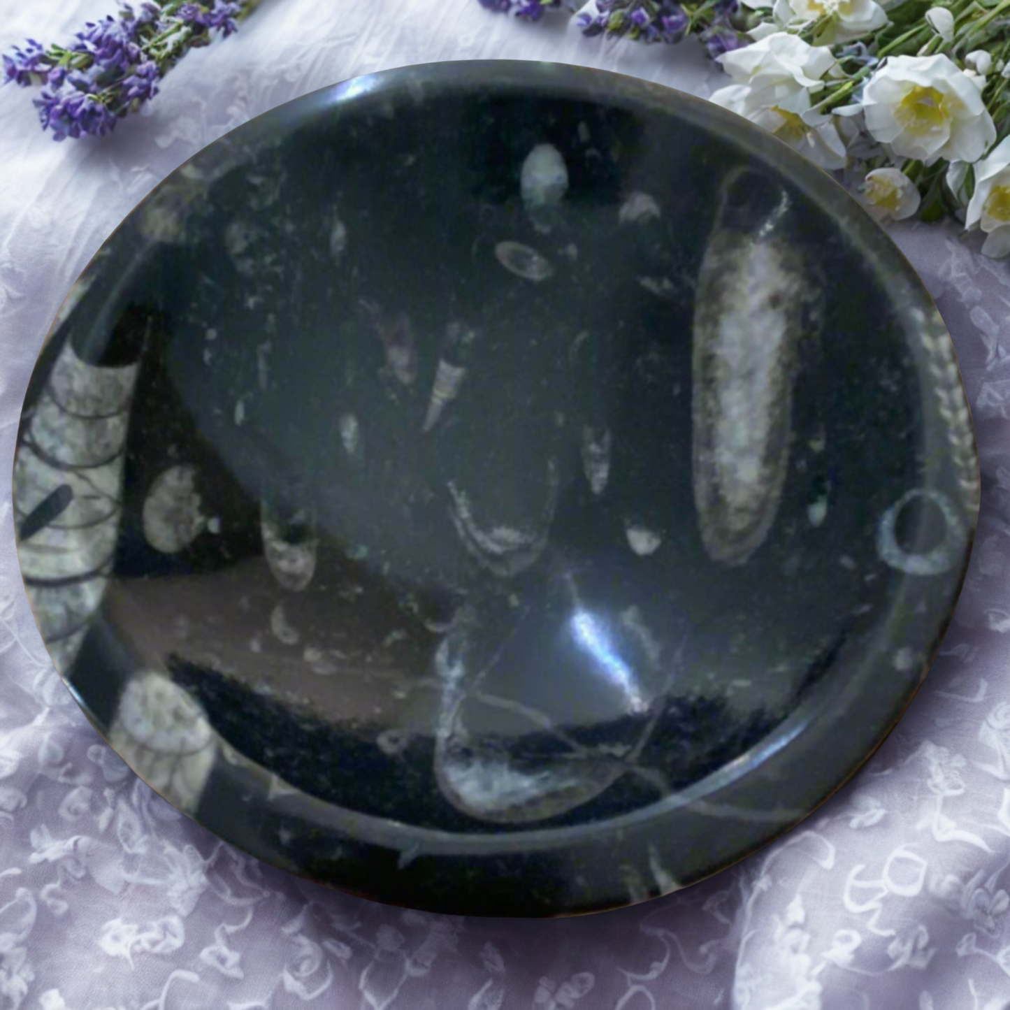 Black Orthoceras Fossil Bowl on a textured surface with flowers in the background