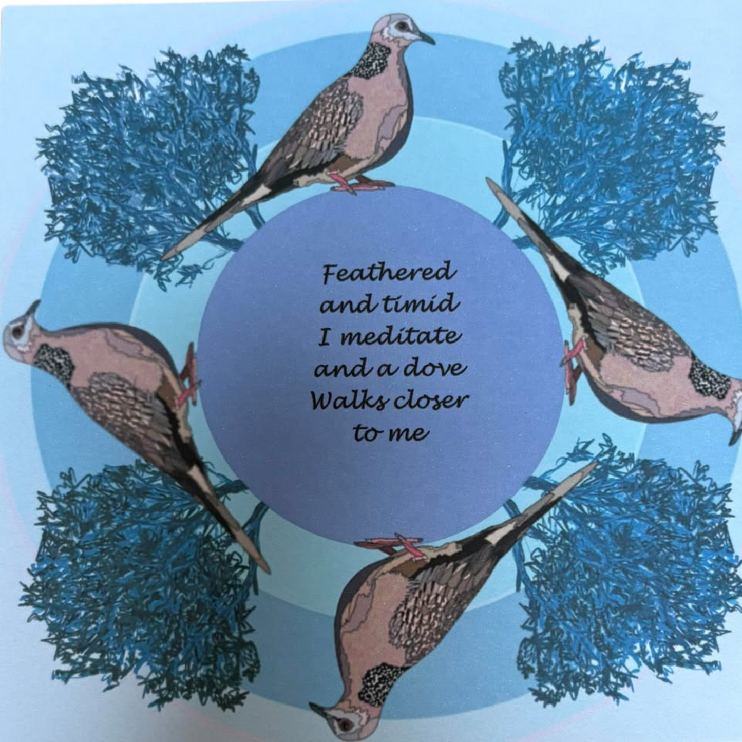 Close view of Spotted Dove greeting card showing quality print and cardstock