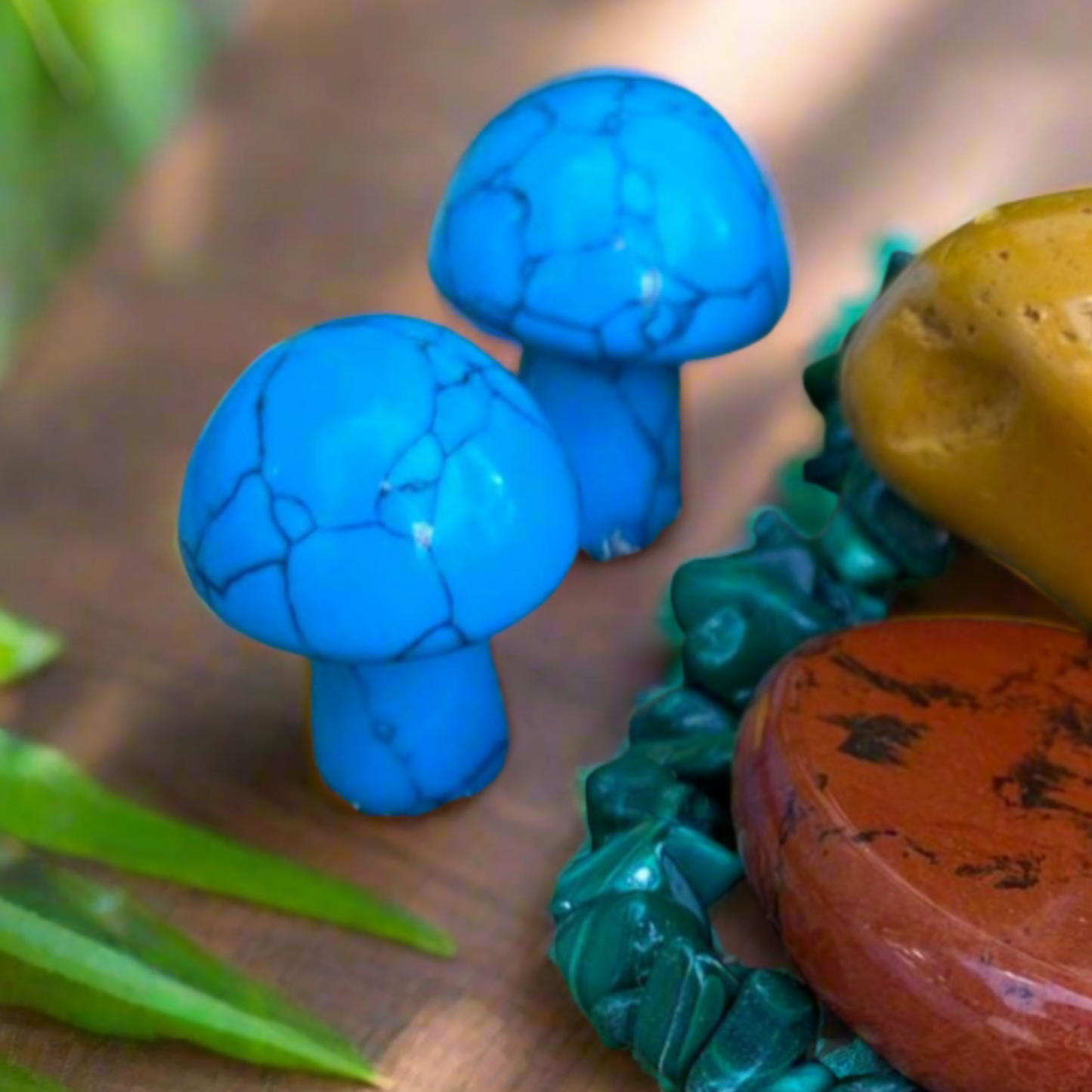 Friendship Crystal Pack - 1 x Jasper Flat Stone 2 x Lapis Lazuli Mini Mushrooms 1 x Malachite Chip Bracelet 1 x Mookaite Tumble Stone