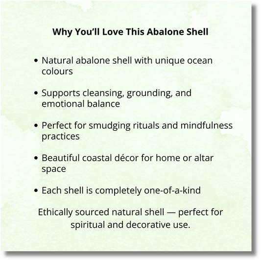 Listed features of the Abalone shell.