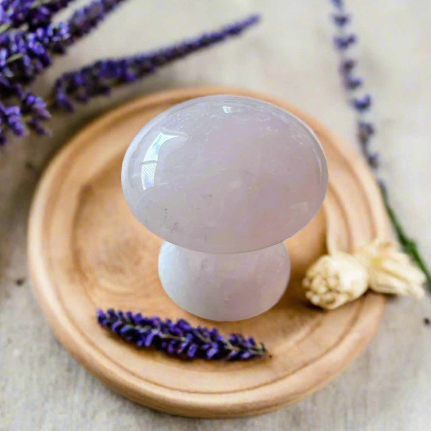 Rose Quartz Gua Sha Mushroom