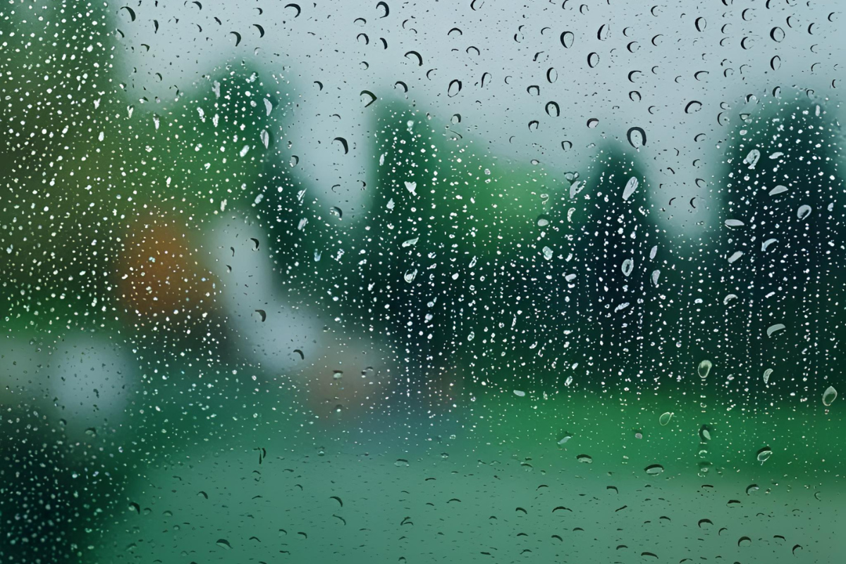 Embracing the Rain: A Journey of Renewal and Mindfulness