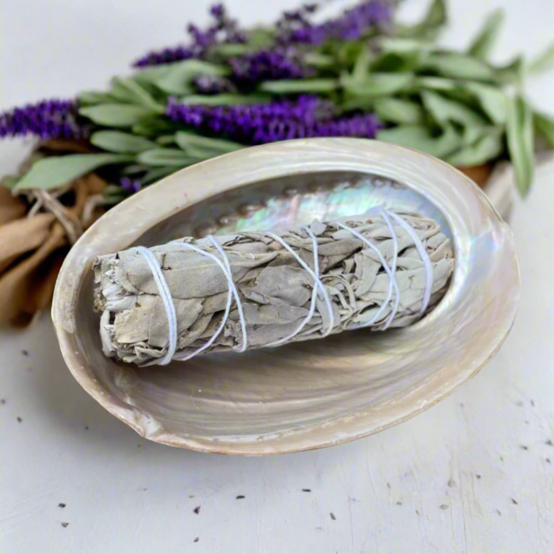 Abalone Shell and Sage