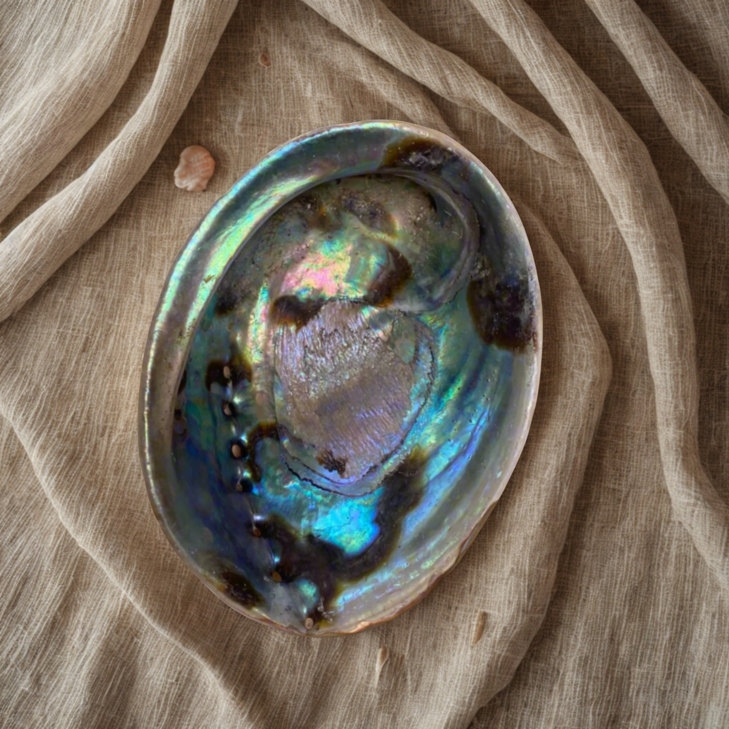 Natural abalone shell smudging bowl with iridescent blue green and purple tones, spiritual cleansing dish for sage palo santo and meditation rituals