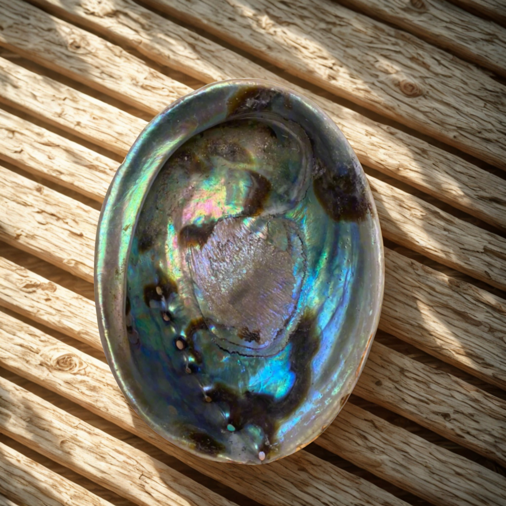 Natural abalone shell smudging bowl with iridescent blue green and purple tones,on a wooden deck with filtered sunlight