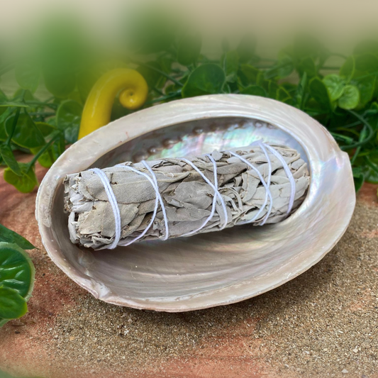 Abalone Shell and small sage smudging stick