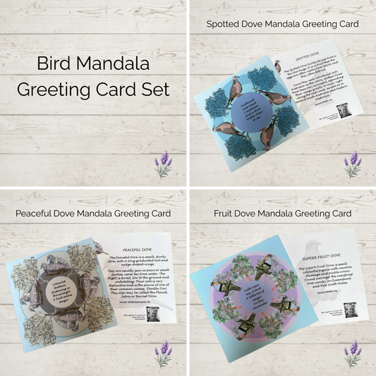 Bird Mandala Greeting Card Set featuring three distinct designs: the Spotted Dove, Peaceful Dove, and Superb Fruit-Dove. Each card displays a circular mandala illustration of the bird species surrounded by foliage and descriptive text.