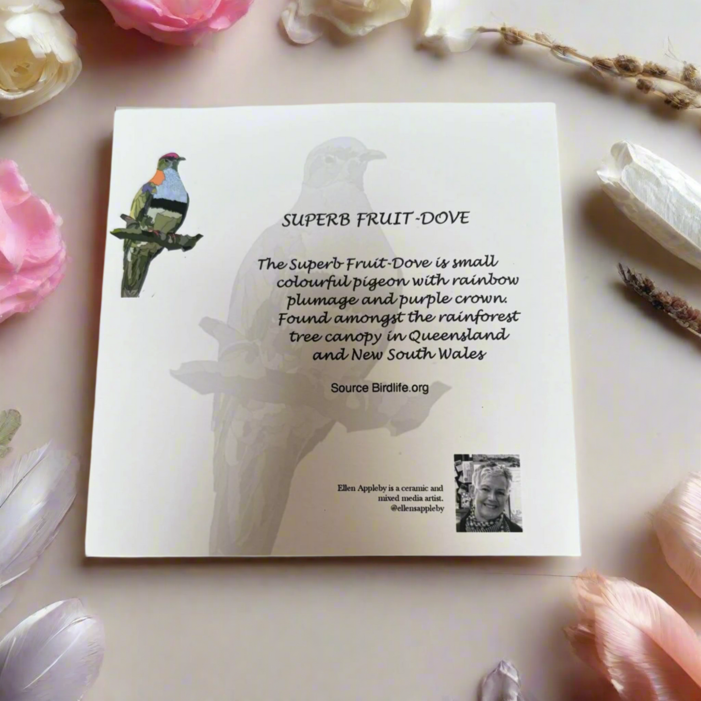 Bird Mandala Greeting Card – Superb Fruit Dove Design | Mindful Art Card by Ellen Appleby 