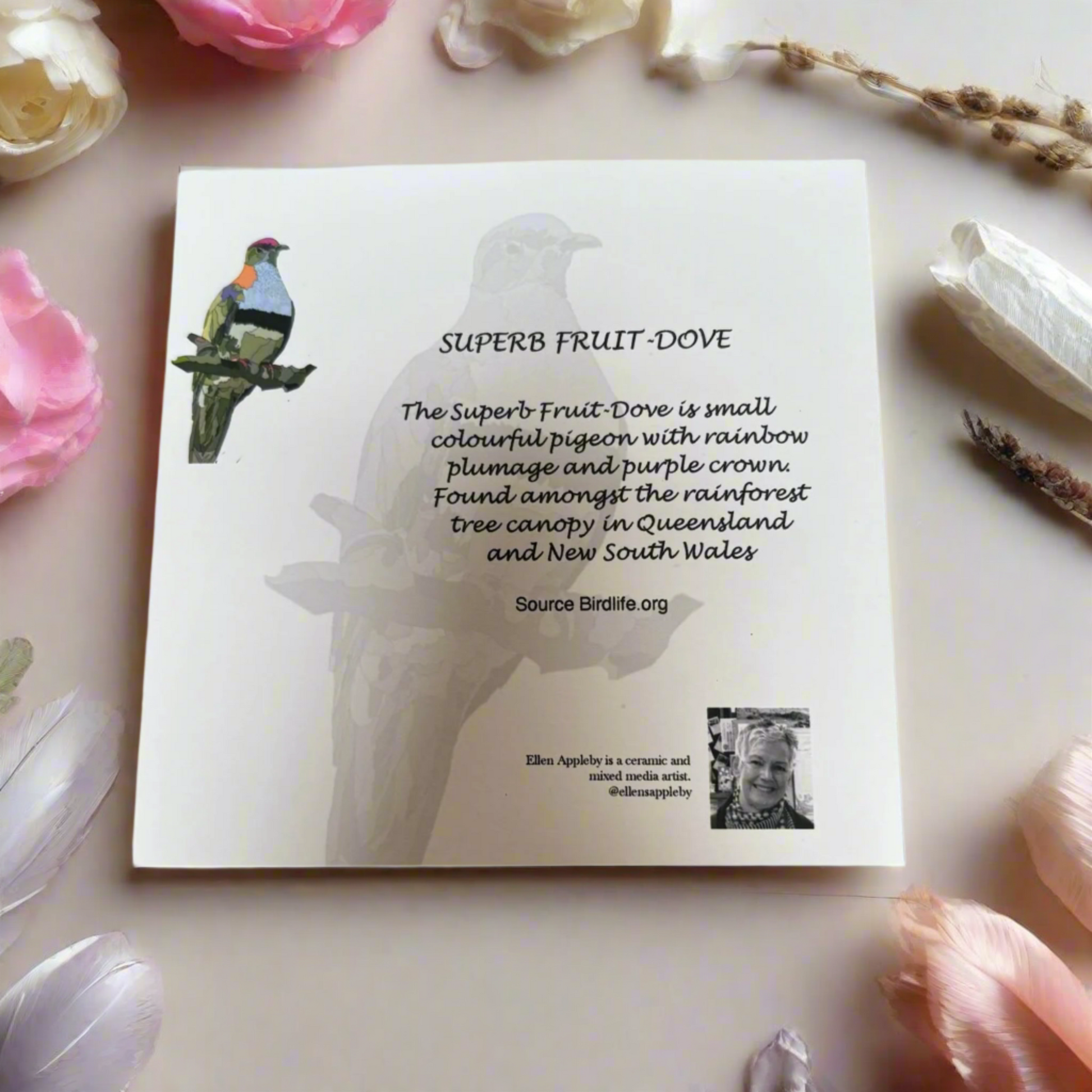 Bird Mandala Greeting Card – Superb Fruit Dove Design | Mindful Art Card by Ellen Appleby 