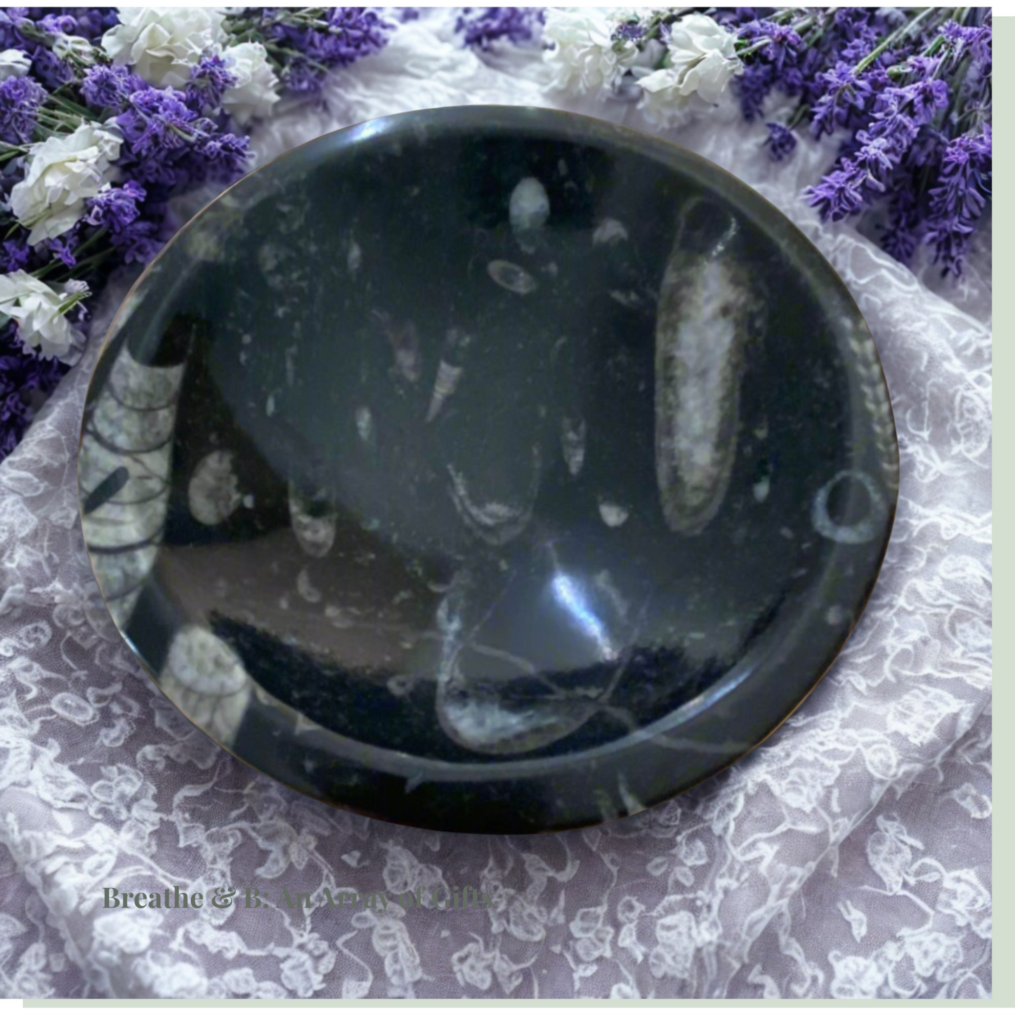 Black Orthoceras Fossil Bowl on a floral background