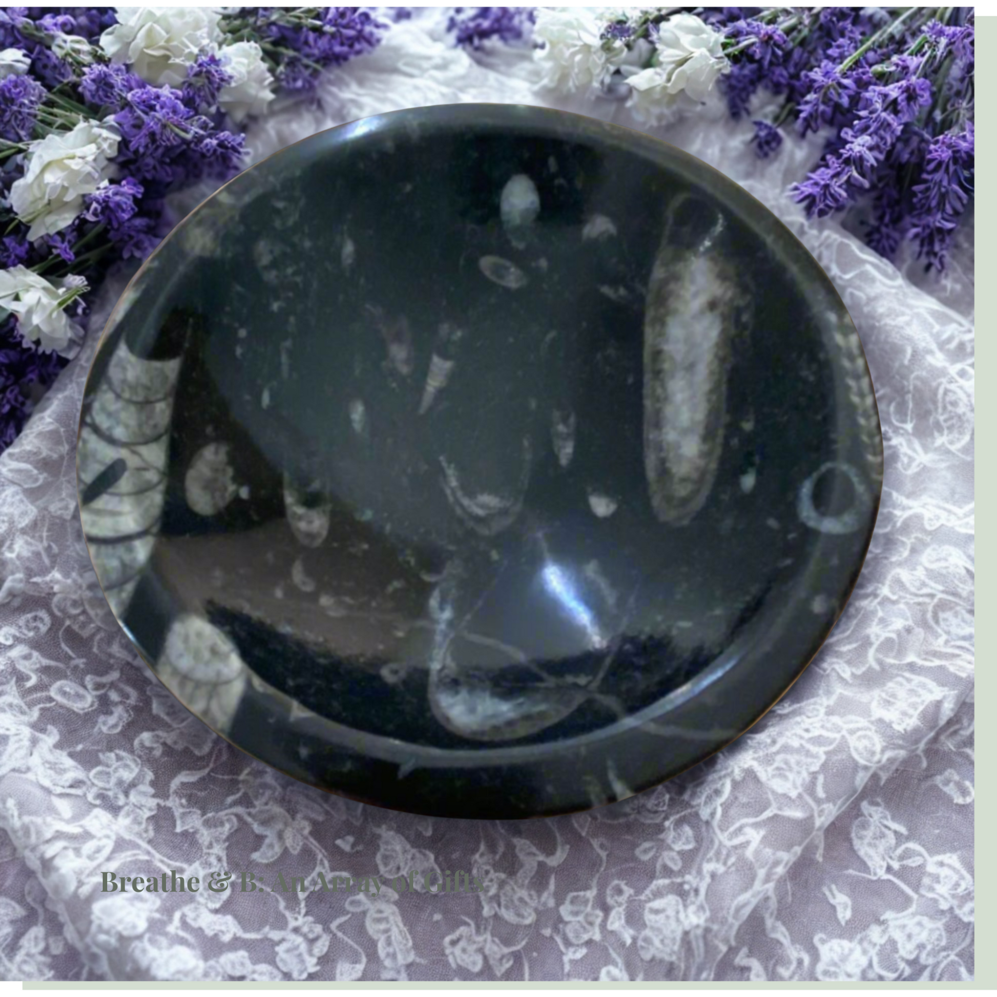 Black Orthoceras Fossil Bowl on a floral background
