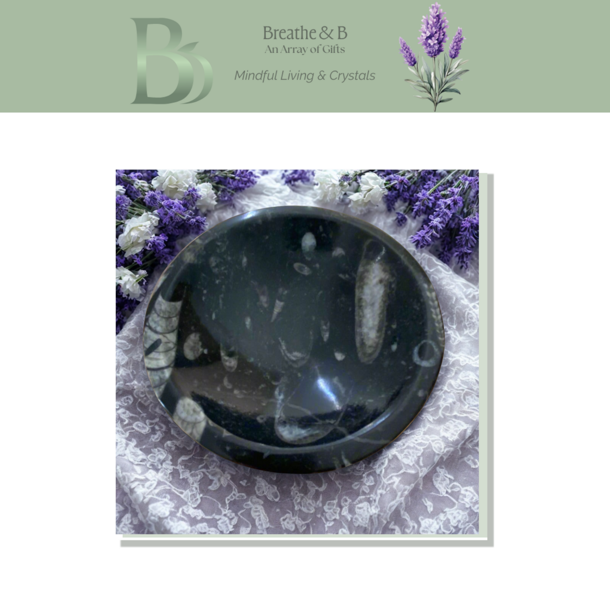 Black Orthoceras Fossil Bowl on a floral background, with 'Breathe & B' branding.