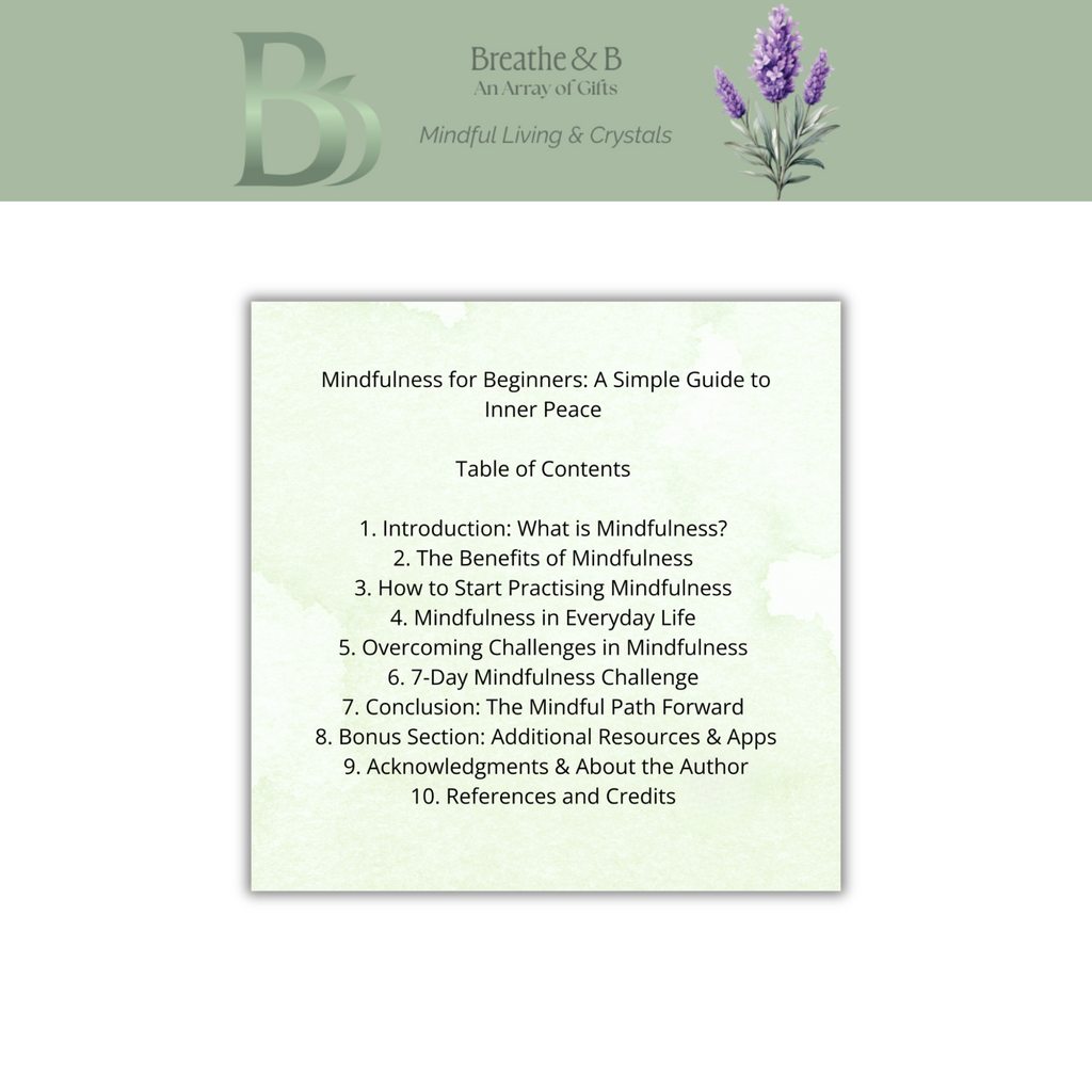 Table of contents for a mindfulness guide with Breathe & B branding