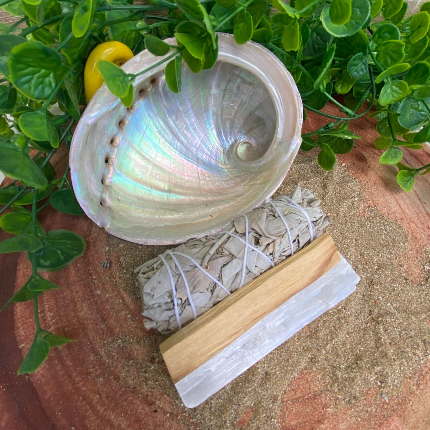 Abalone Shell, Sage Smudge Stick, Palo Santo Stick and Selenite Stick