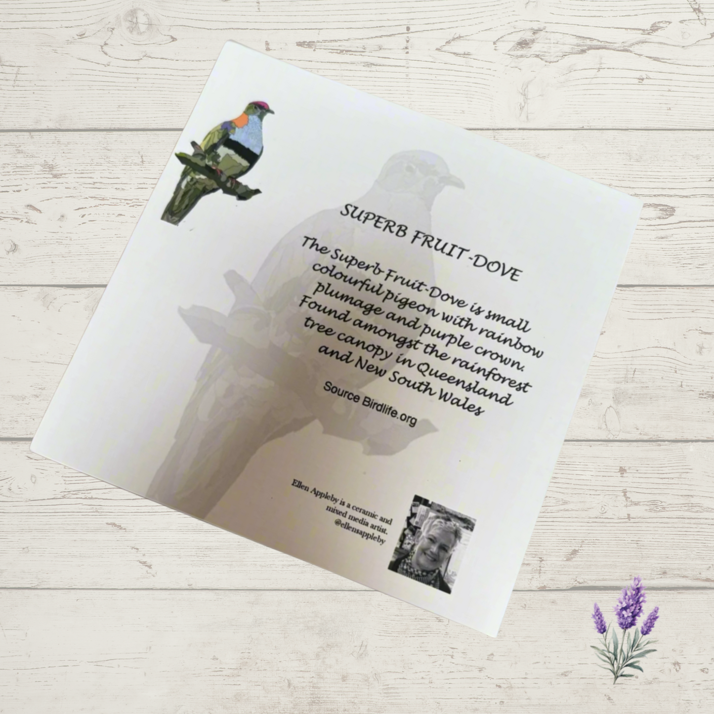 Back of Fruit Dove greeting card showing bird description text and information