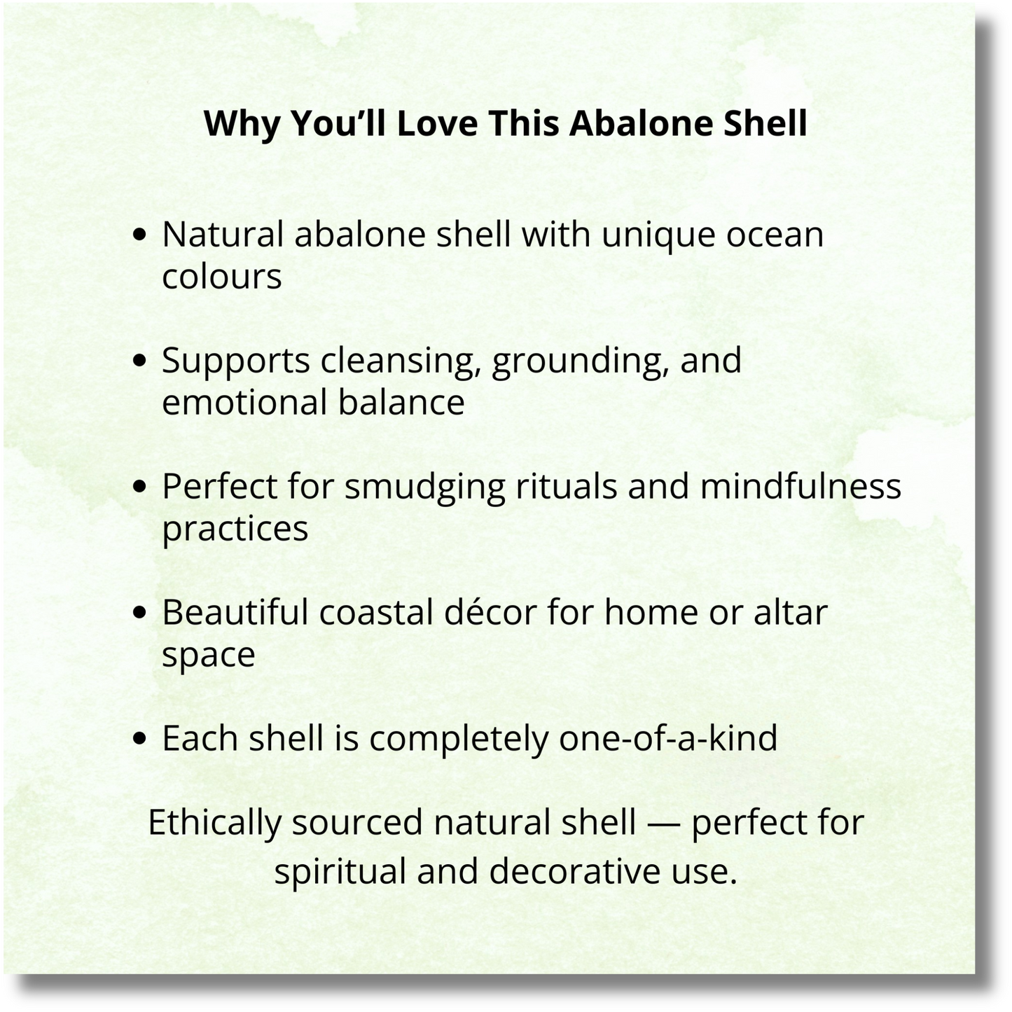 Listed features of the Abalone shell.