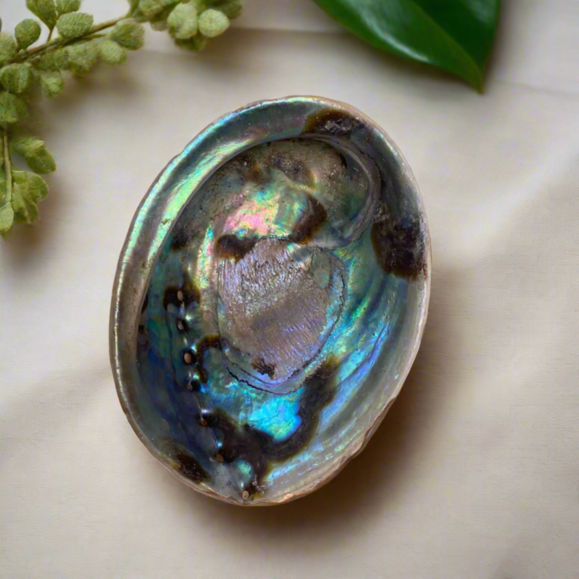 Natural abalone shell smudging bowl with iridescent blue green and purple tones, spiritual cleansing dish for sage palo santo and meditation rituals