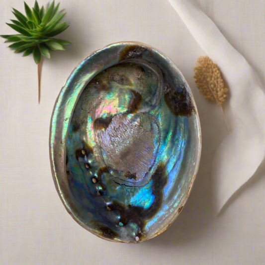 Natural abalone shell smudging bowl with iridescent blue green and purple tones, spiritual cleansing dish for sage palo santo and meditation rituals