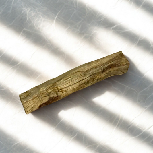Natural palo santo wood stick close-up showing texture, used for cleansing energy and promoting calm