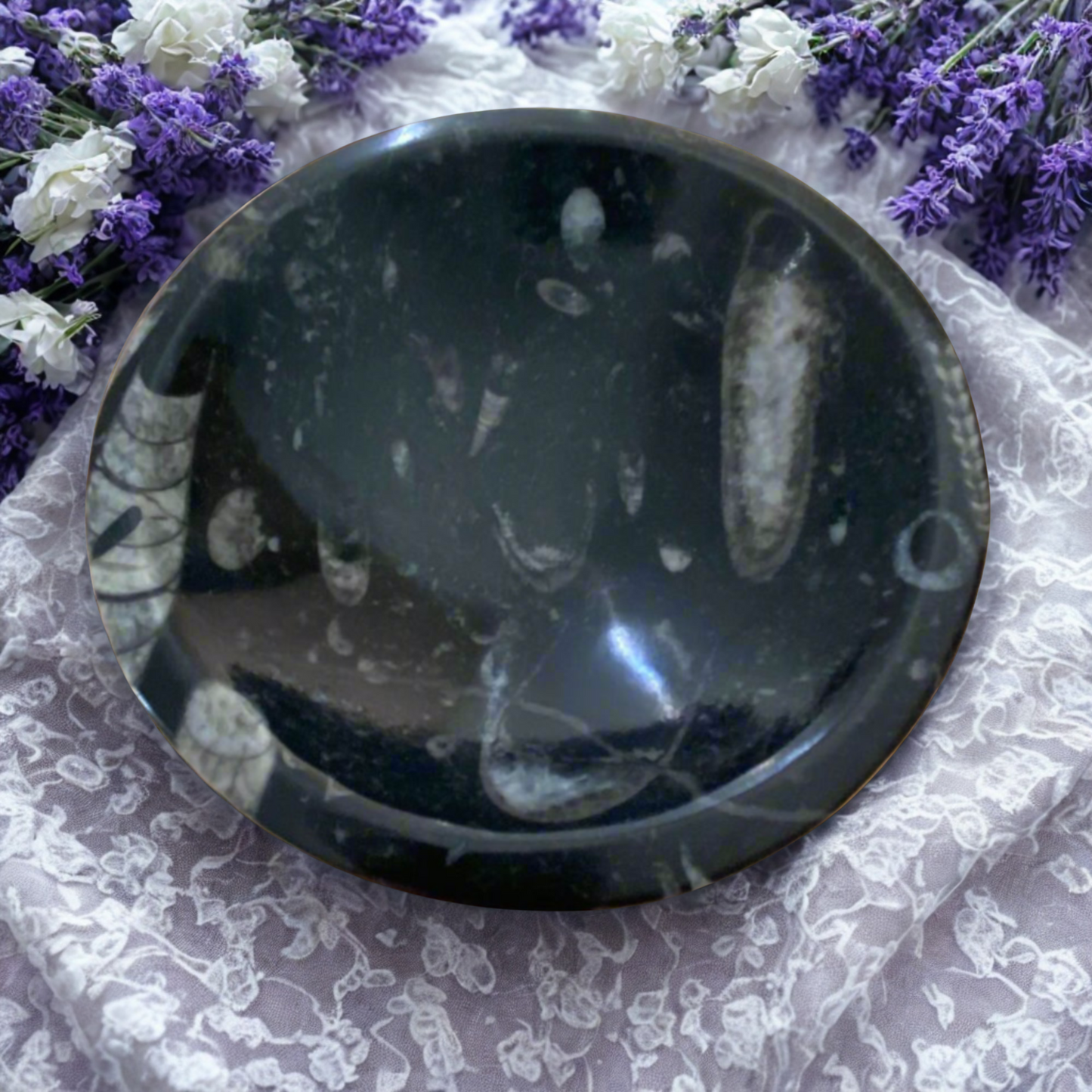 Black Orthoceras Fossil Bowl on a floral background