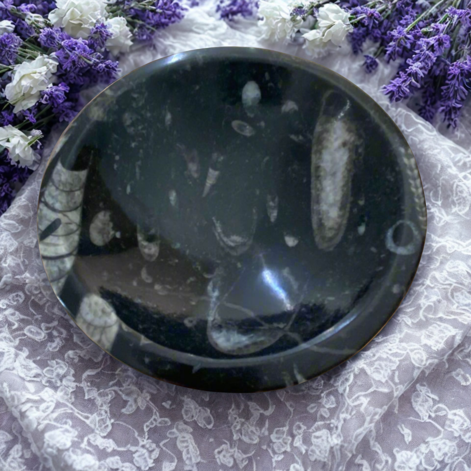 Black Orthoceras Fossil Bowl on a floral background
