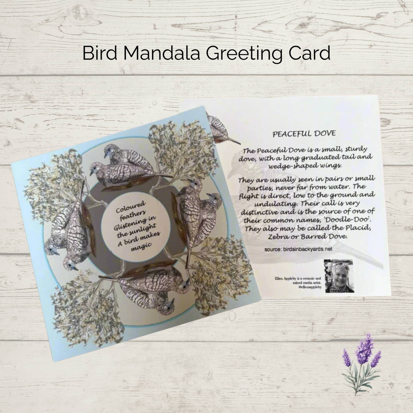 Peaceful Dove mandala greeting card front and back on light wooden background