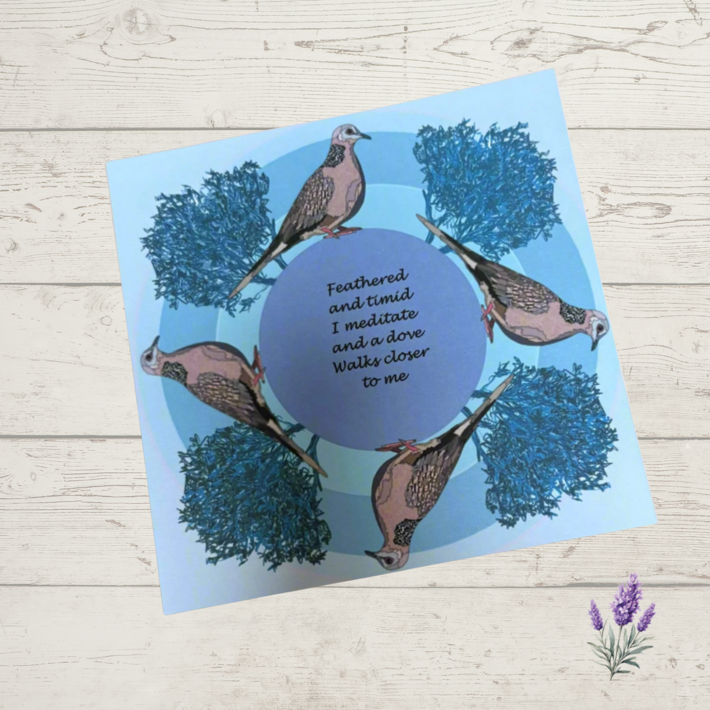 Spotted Dove greeting card showing quality print and cardstock