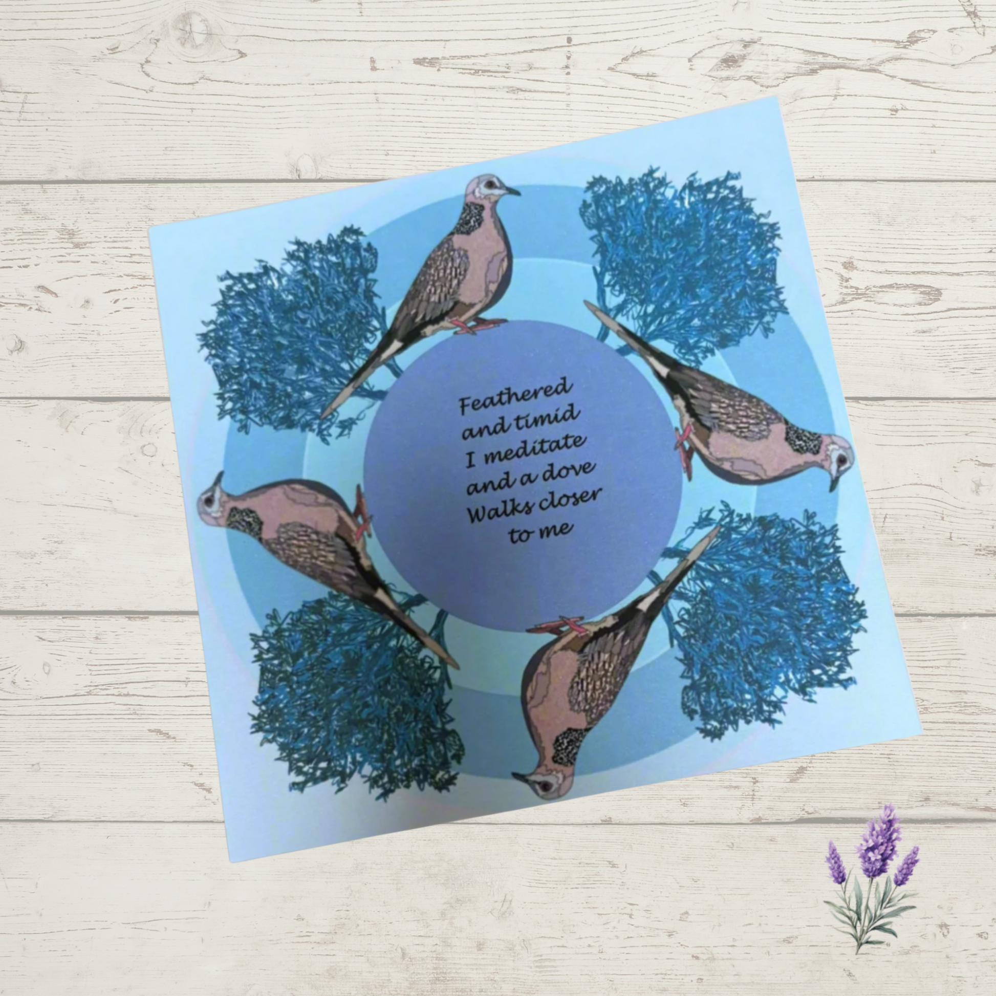 Spotted Dove greeting card showing quality print and cardstock