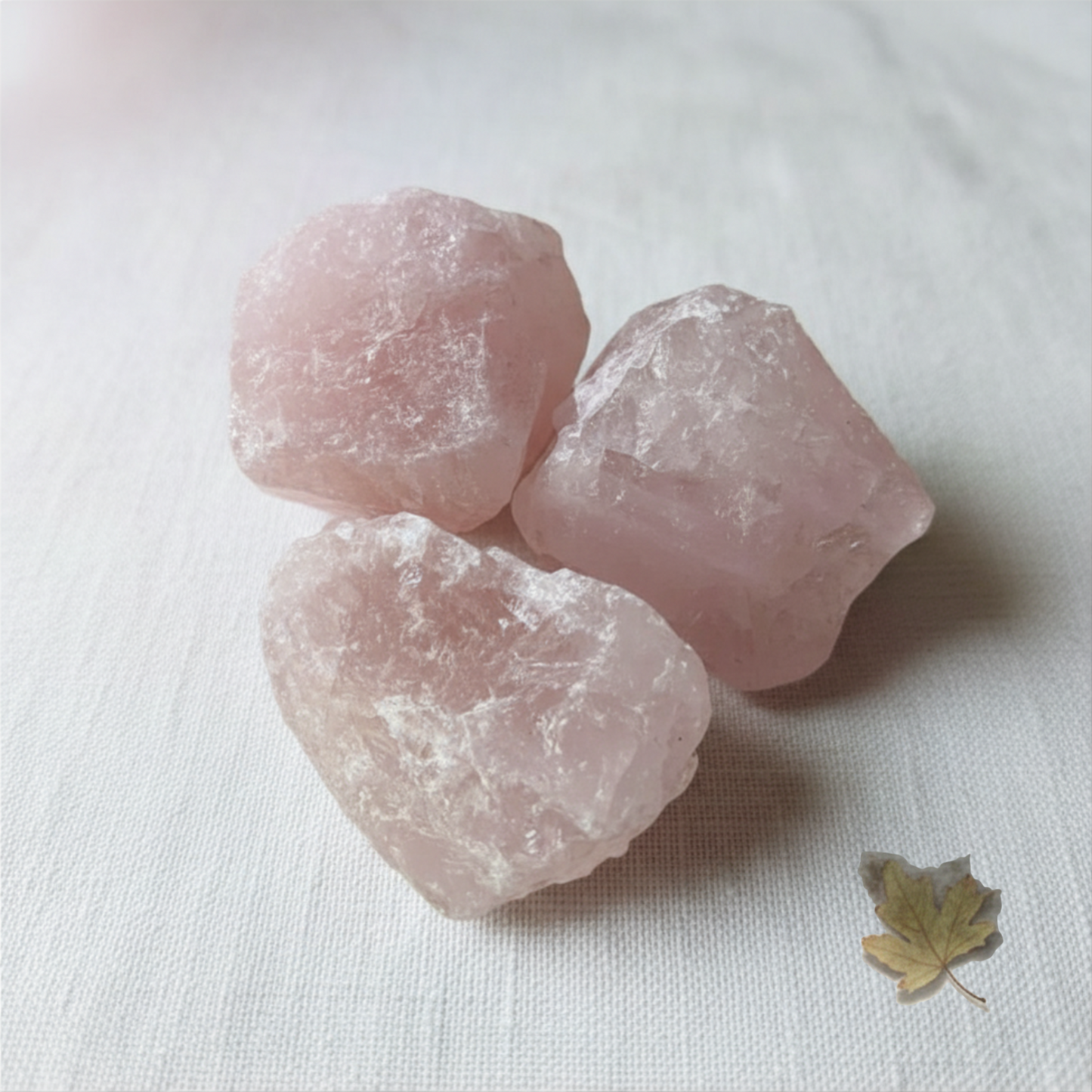 Three pink rose quartz crystals on a white fabric background with a small leaf.