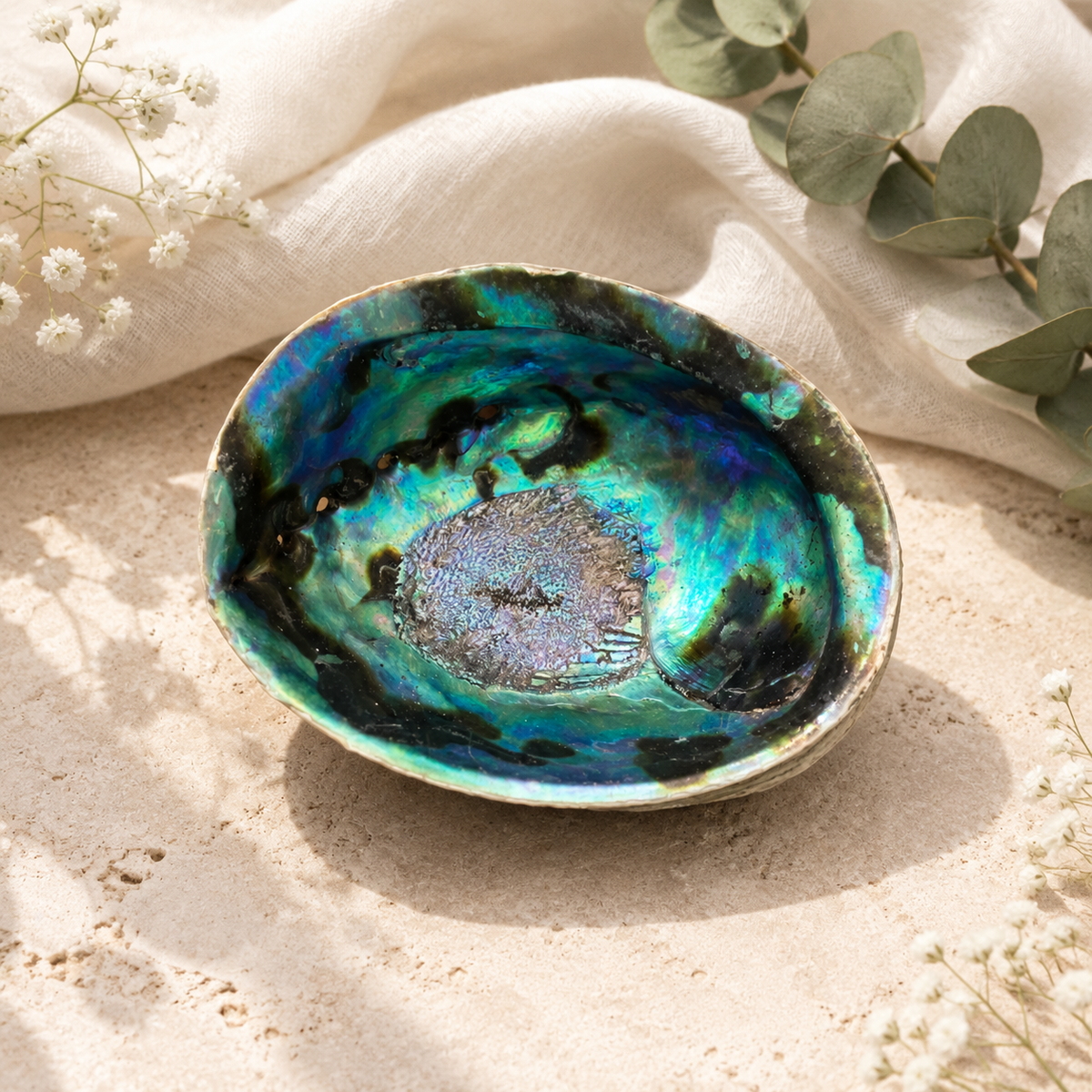 An abalone shell dish with a vibrant iridescent blue, green, and black interior, styled on a sandy surface with a cream fabric drape and eucalyptus leaves.