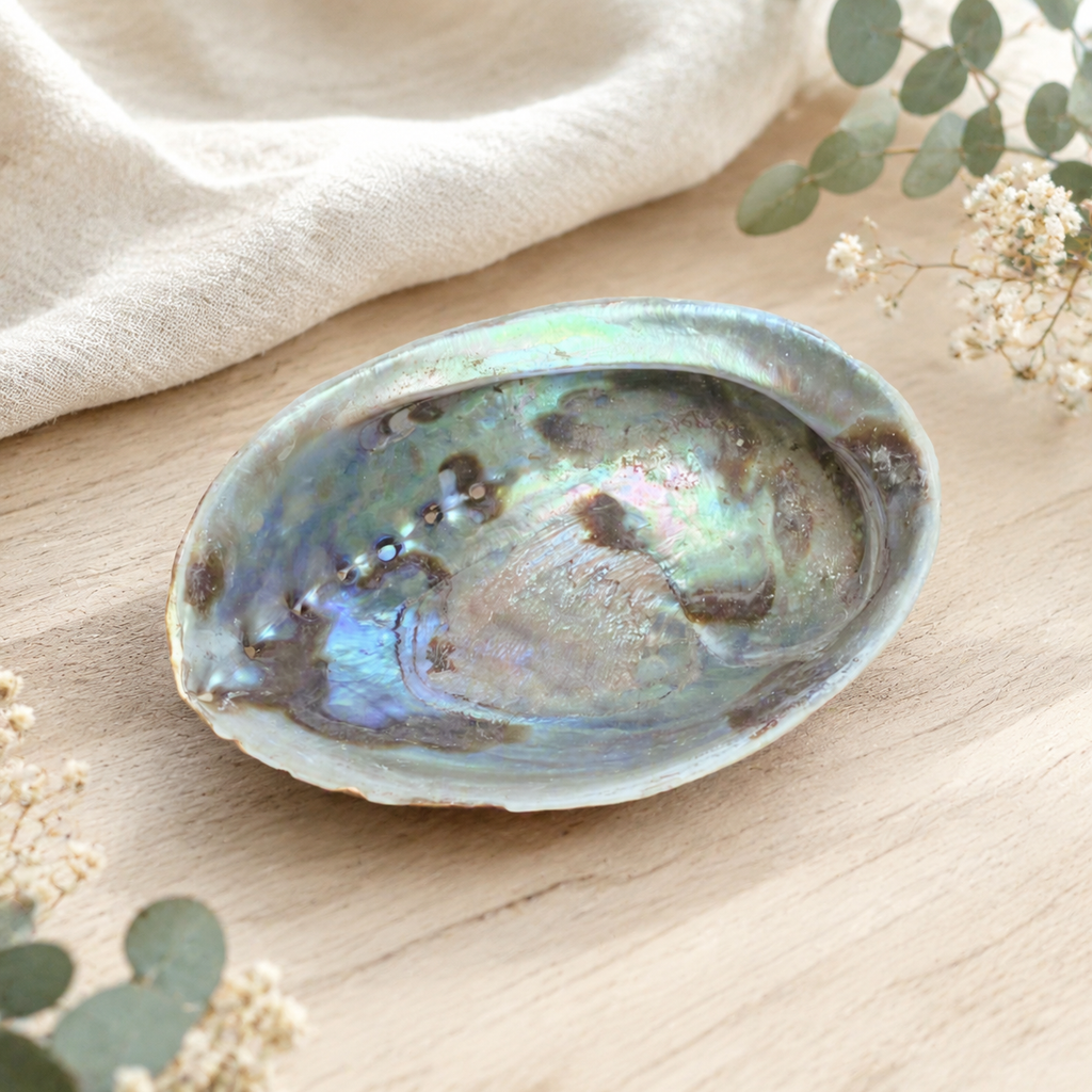 An iridescent abalone shell dish with a pearlescent blue, green, and brown pattern, styled on a light wood surface with a beige linen cloth and eucalyptus leaves.