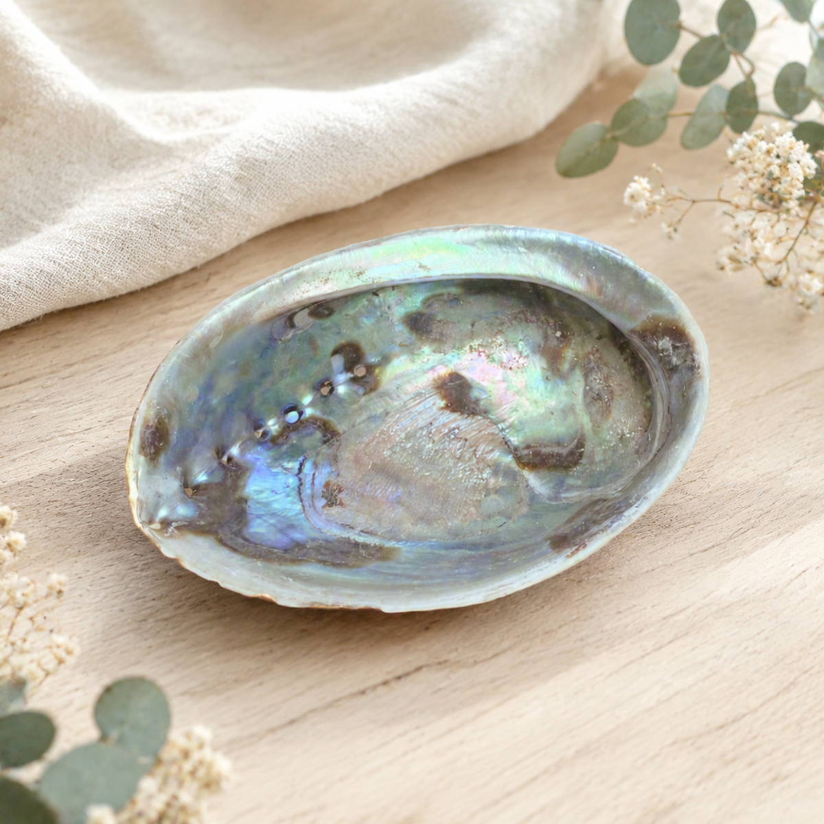 An iridescent abalone shell dish with a pearlescent blue, green, and brown pattern, styled on a light wood surface with a beige linen cloth and eucalyptus leaves.