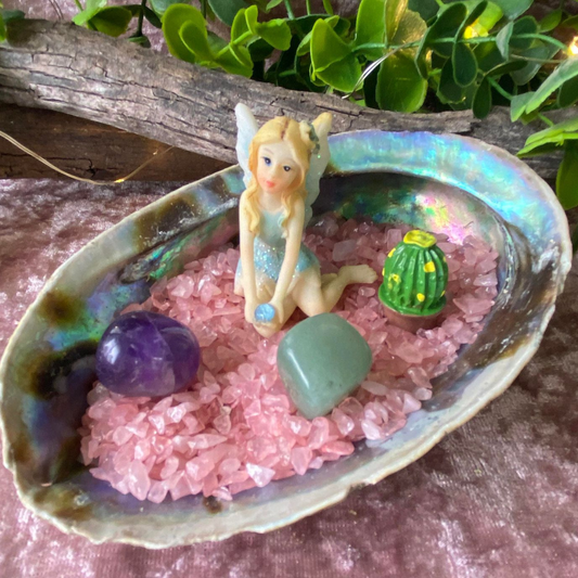 Abalone Fairy Garden with Crystals, miniature catcus and sitting fairy