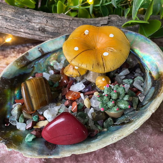 Abalone Fairy Garden with Crystals, Tumble Stone and Yellow Mushroom