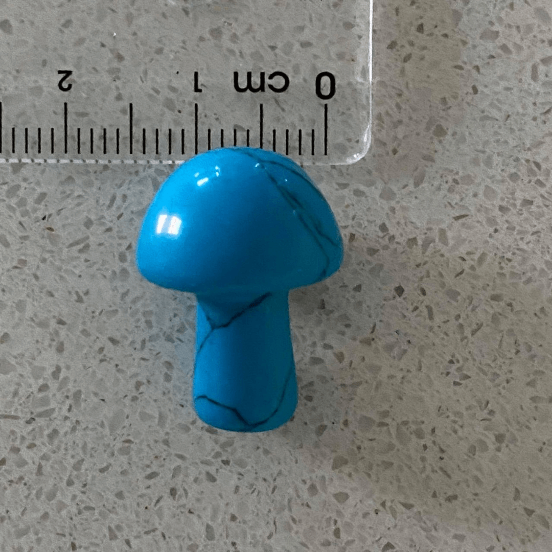 Mini Mushroom Size